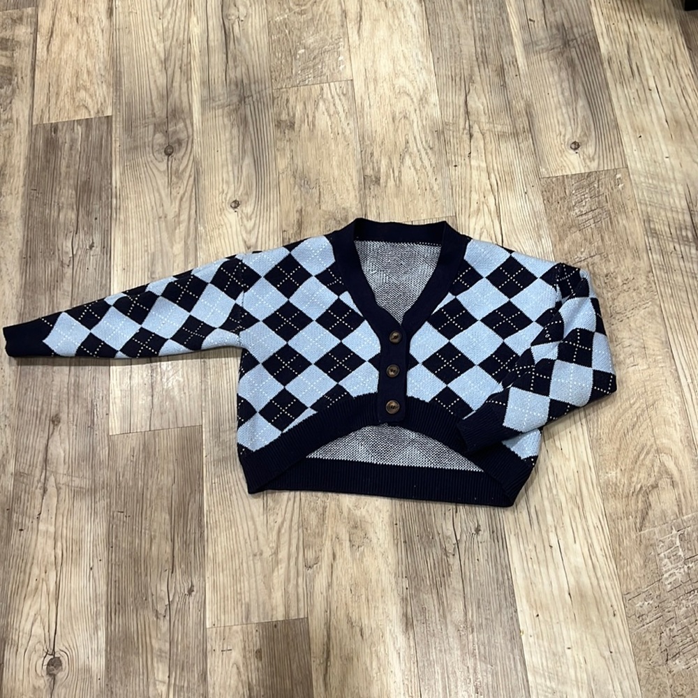 Blue argyle style sweater.